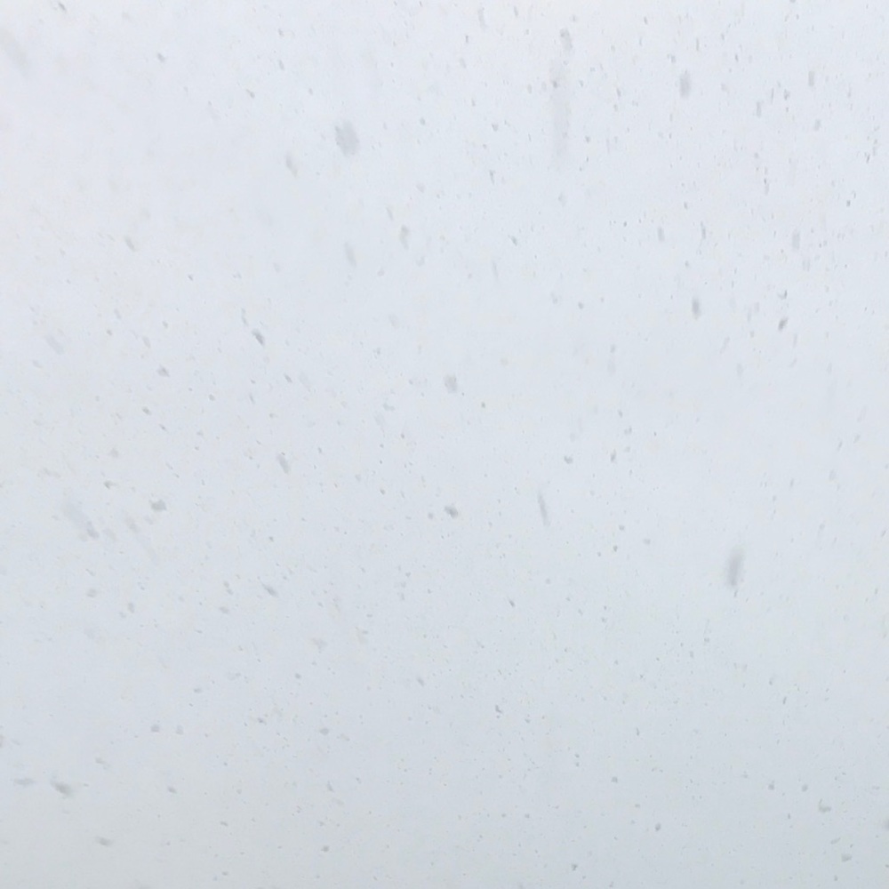 Meet your Posher, Jack